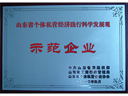 Shandong Model Enterprises